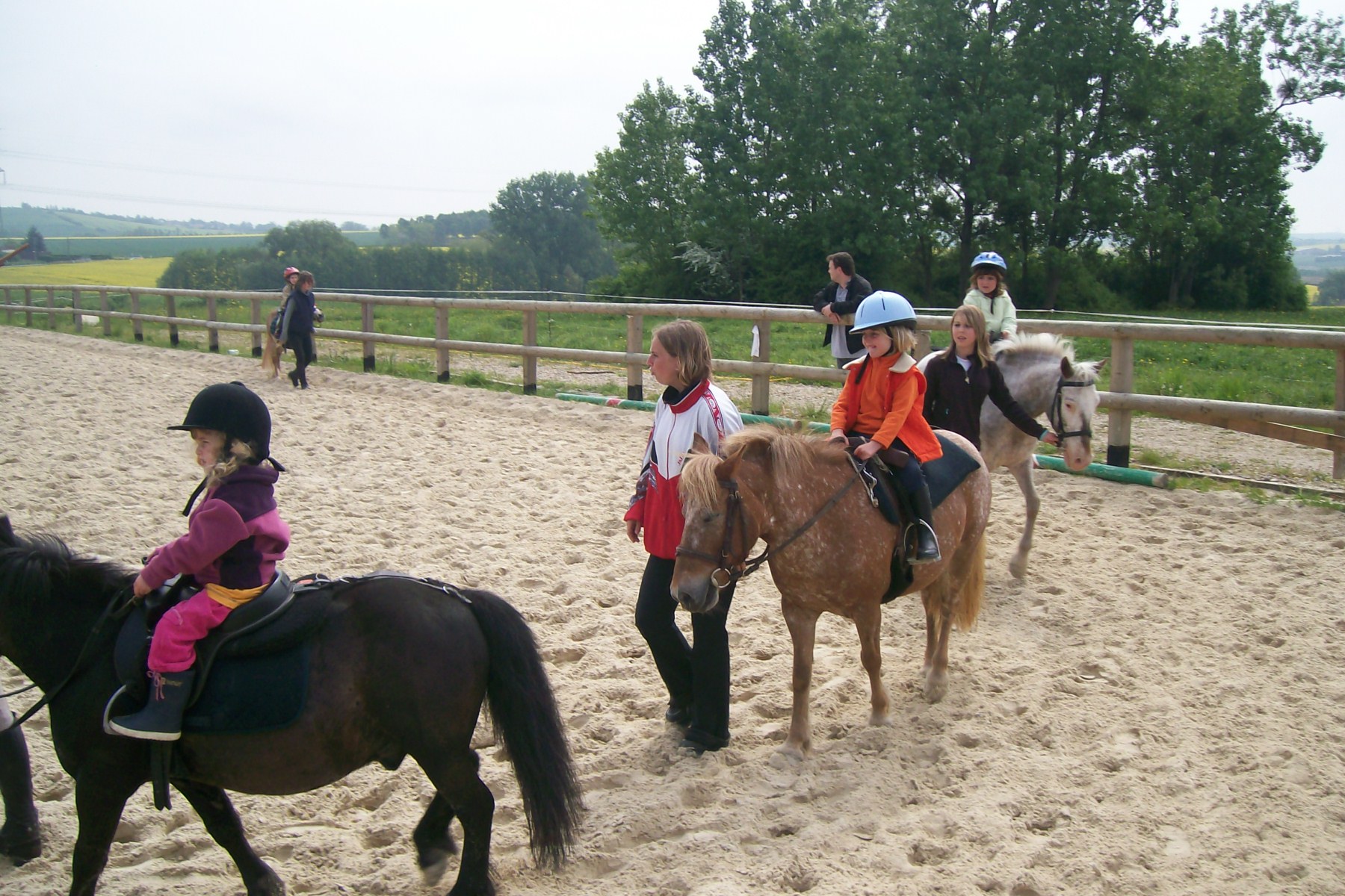 COURS DE BABY PONEY