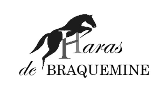 logo haras2